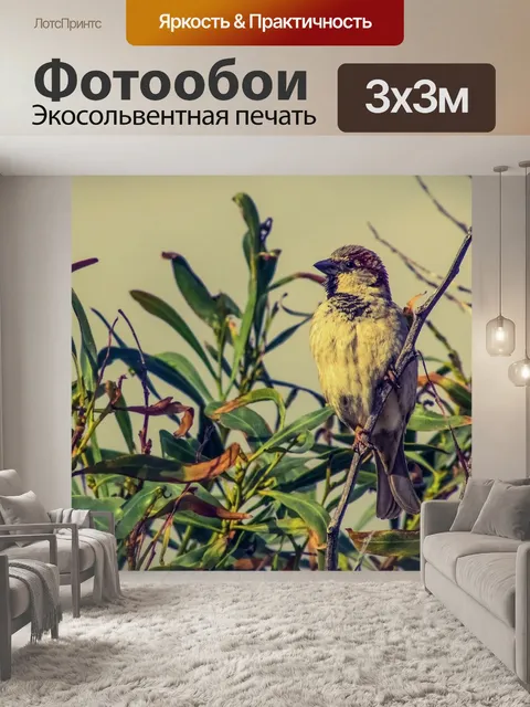 Фотообои Воробей