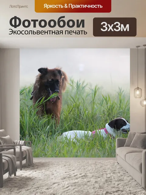 Фотообои Животные