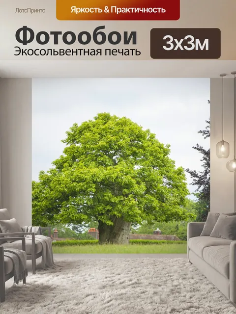 Фотообои Дерево