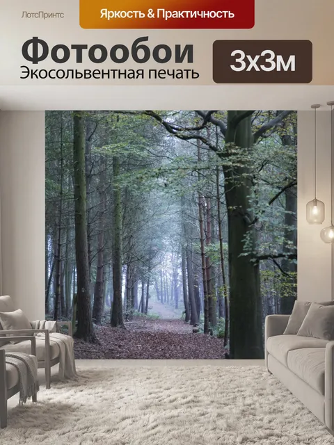 Фотообои Туманный лес