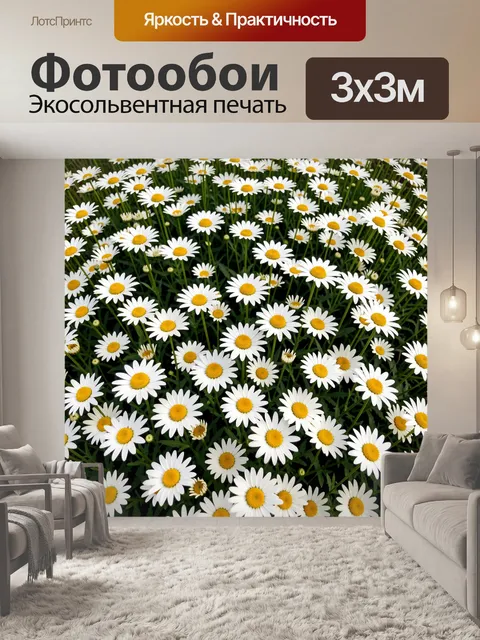 Фотообои Поле белых ромашек