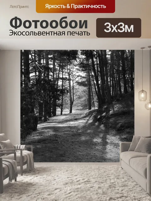 Фотообои Bw лес