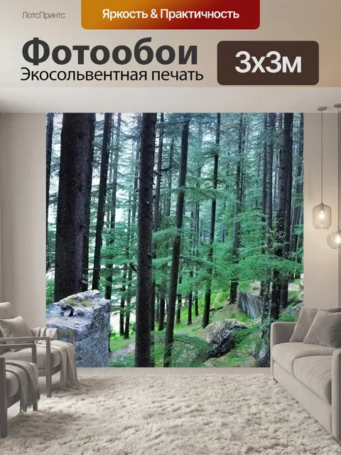 Фотообои Сосновый лес фоне 2