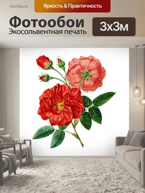 Фотообои Роза Красная Винтаж Клипарт