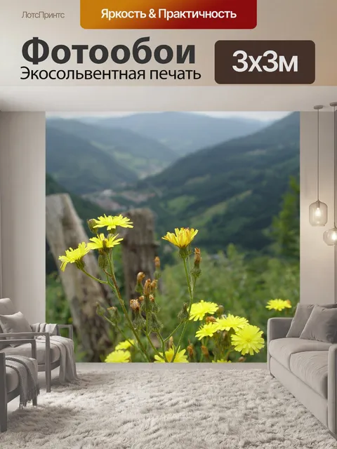 Фотообои Черный лес