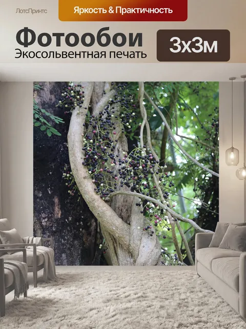 Фотообои Фрукты