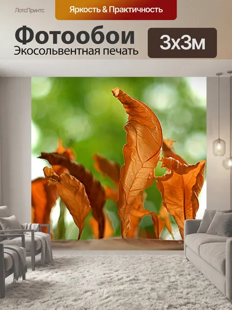 Фотообои Листья