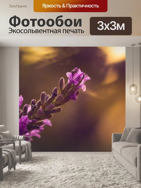 Фотообои Лаванда