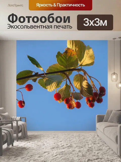 Фотообои Geyikelma