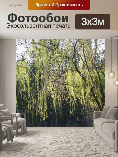 Фотообои Дерево