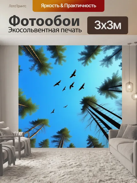 Фотообои небо над лесом с парящими ястребами