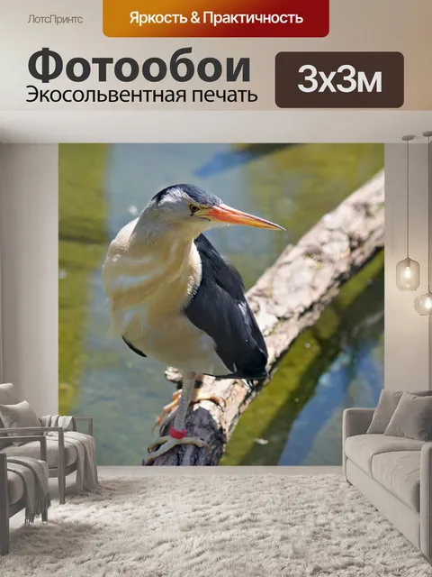 Фотообои Птица