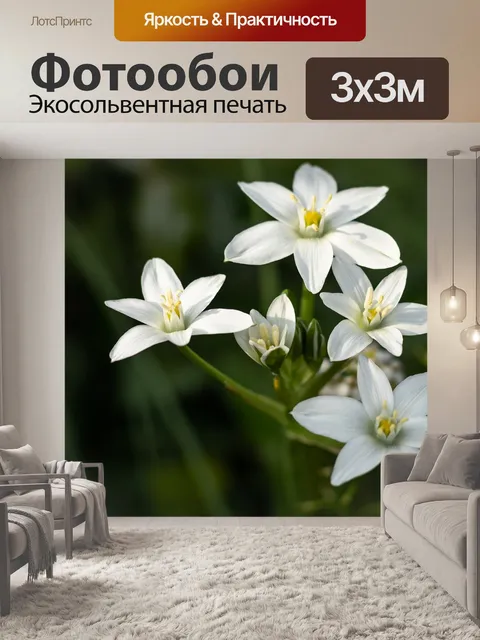 Фотообои Цветы