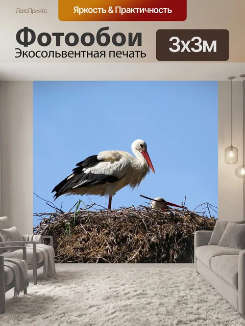 Фотообои Природа