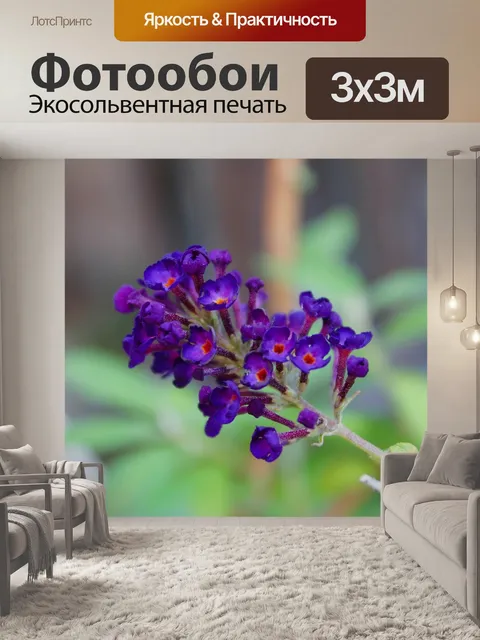 Фотообои Цветы