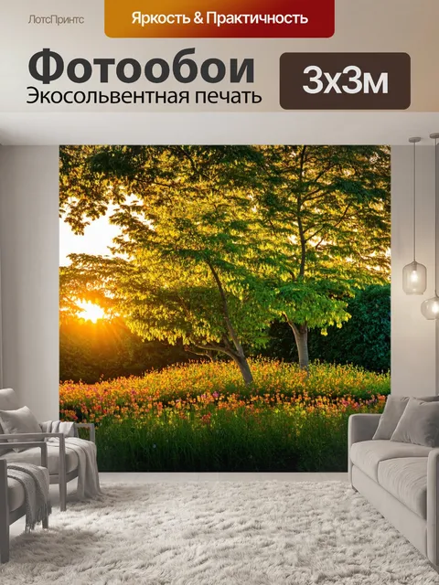 Фотообои закат среди высоких эльмов в ботаническом саду