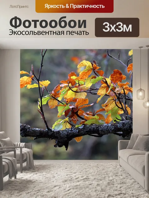 Фотообои Осень