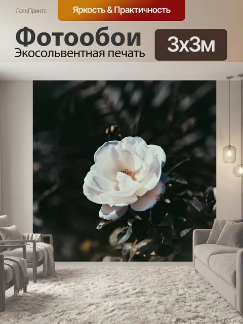 Фотообои Цветок
