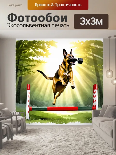 Фотообои бельгийская овчарка малинуа