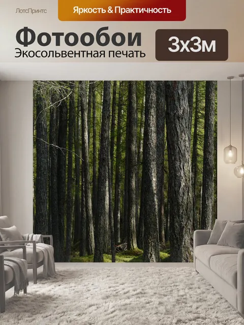 Фотообои Лиственничный лес