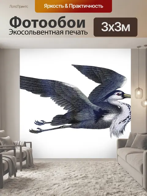 Фотообои Иллюстрация винтажного искусства птиц