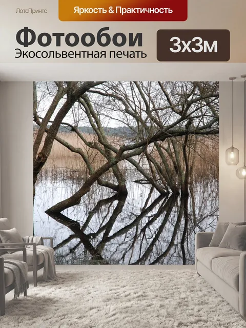 Фотообои Деревья