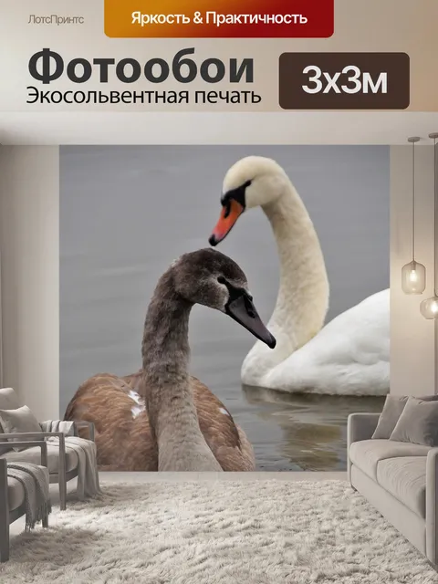 Фотообои Лебеди