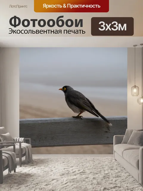 Фотообои Туман