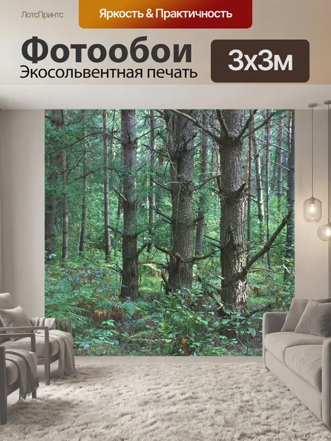 Фотообои Деревья