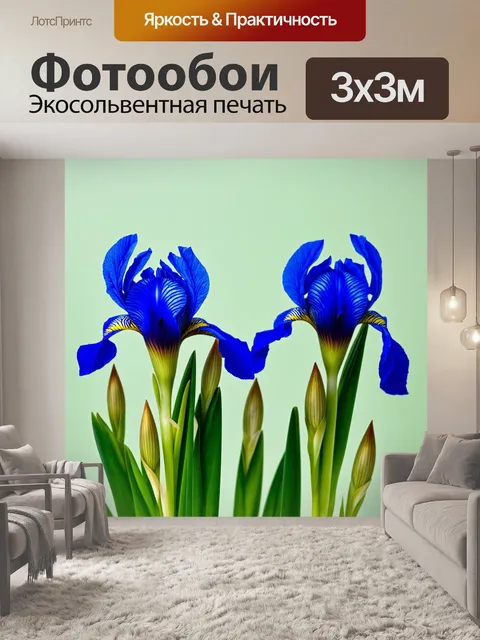 Фотообои цветы в стиле минимализм с синими ирисами и минималистичными линиями