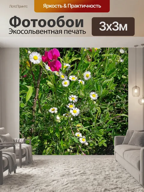 Фотообои Цветы
