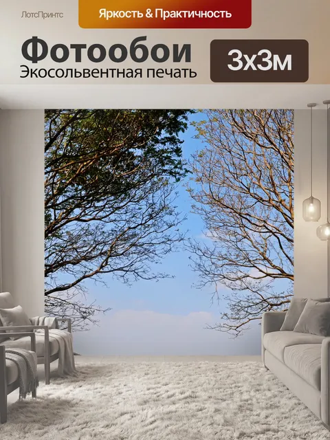 Фотообои Деревья и листья 20