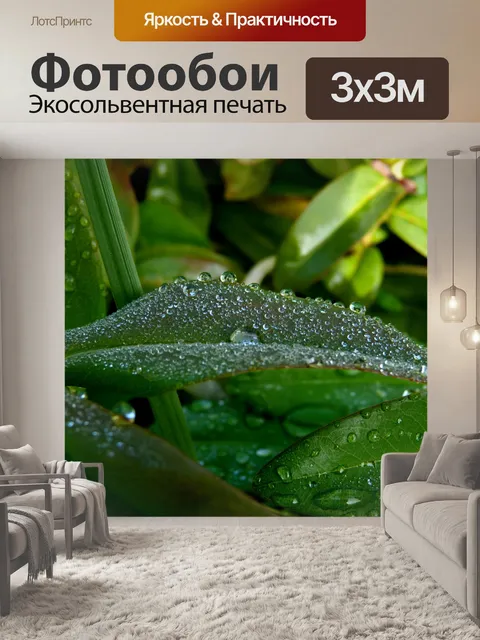 Фотообои Капли воды, листвы