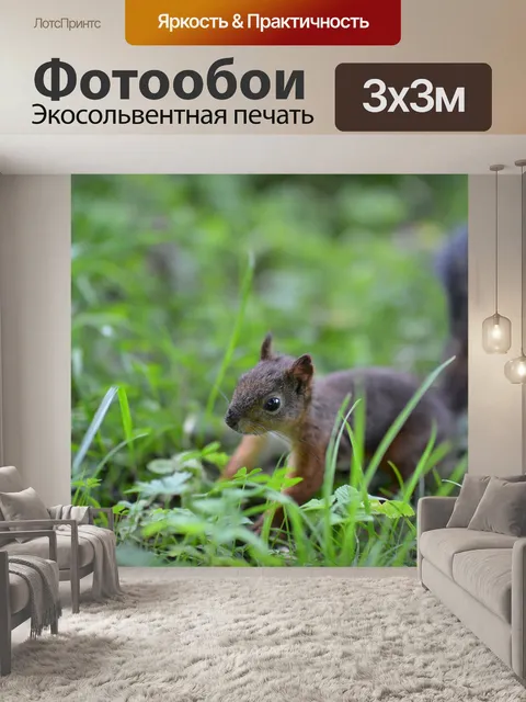 Фотообои Белка