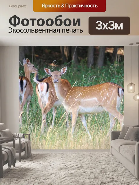 Фотообои Олень