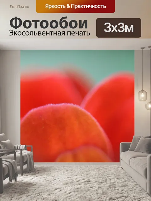 Фотообои Крупным планом лепестков цветов