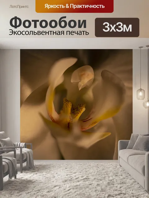 Фотообои Орхидея