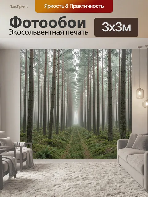 Фотообои Туманный сосновый лес с тропой