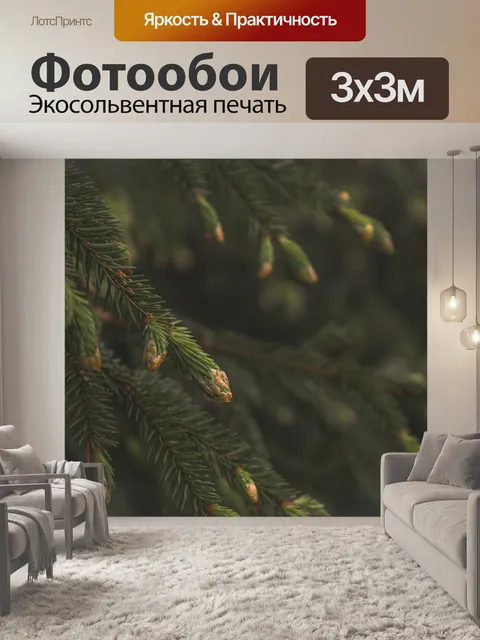 Фотообои Ель