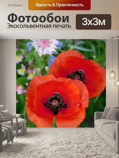 Фотообои Маки