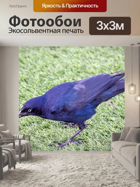 Фотообои Птица
