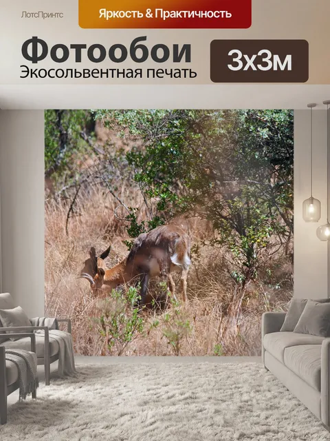 Фотообои Южный тростник скрыт в траве