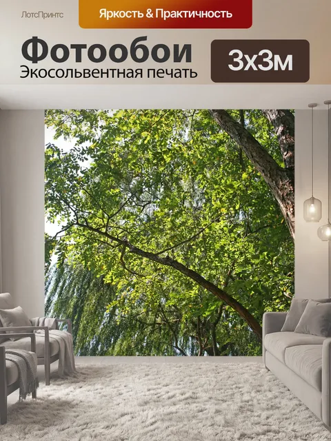 Фотообои надвигающегося деревья на берегу реки