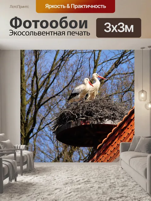 Фотообои Птицы