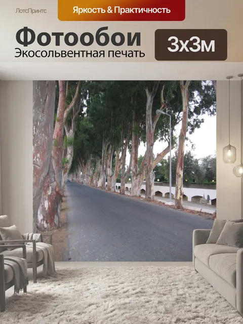 Фотообои Эвкалипт аллея