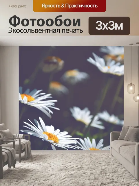 Фотообои Маргаритки