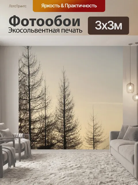 Фотообои Зима