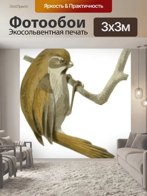 Фотообои Птица