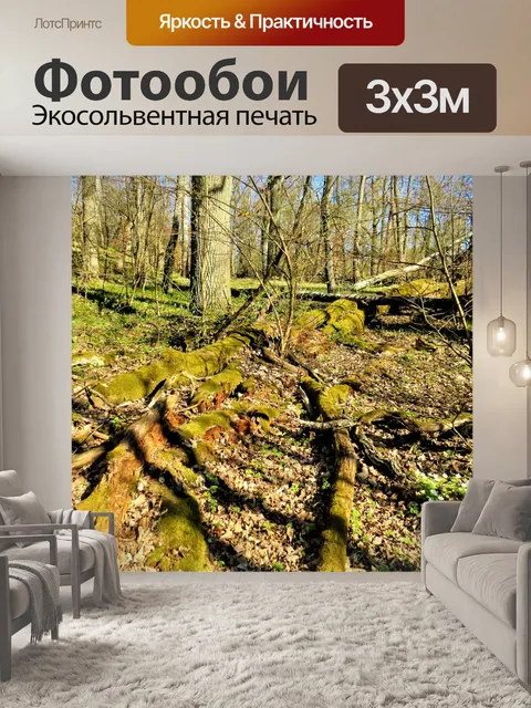 Фотообои Лес
