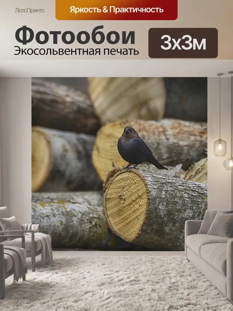 Фотообои Животное